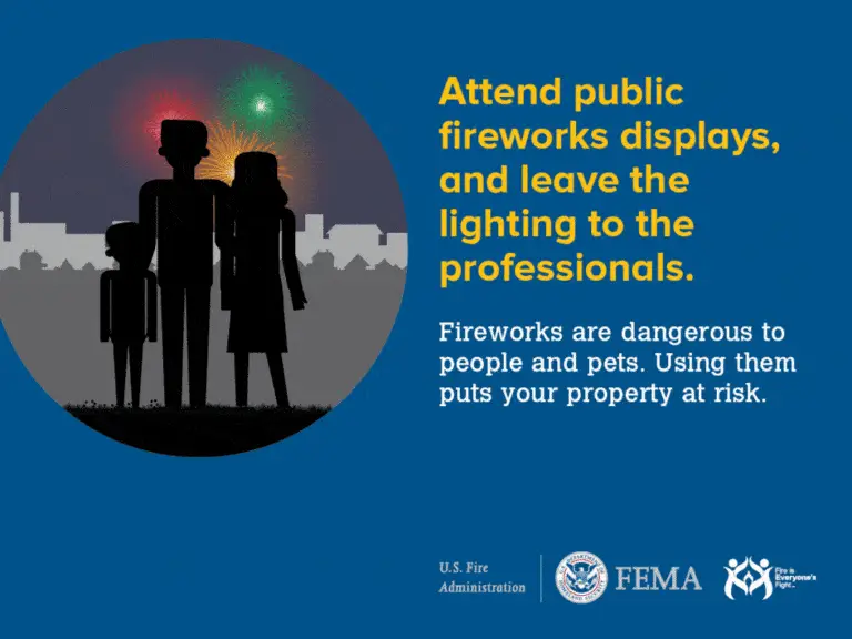 Family silhouette against a night sky with fireworks, promoting safety by encouraging attendance at public firework displays rather than personal use, with a reminder of the dangers fireworks pose to people, pets, and property.